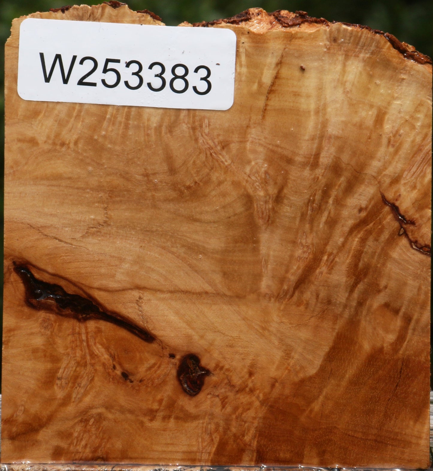 Kanista Burl Live Edge Turning Blank