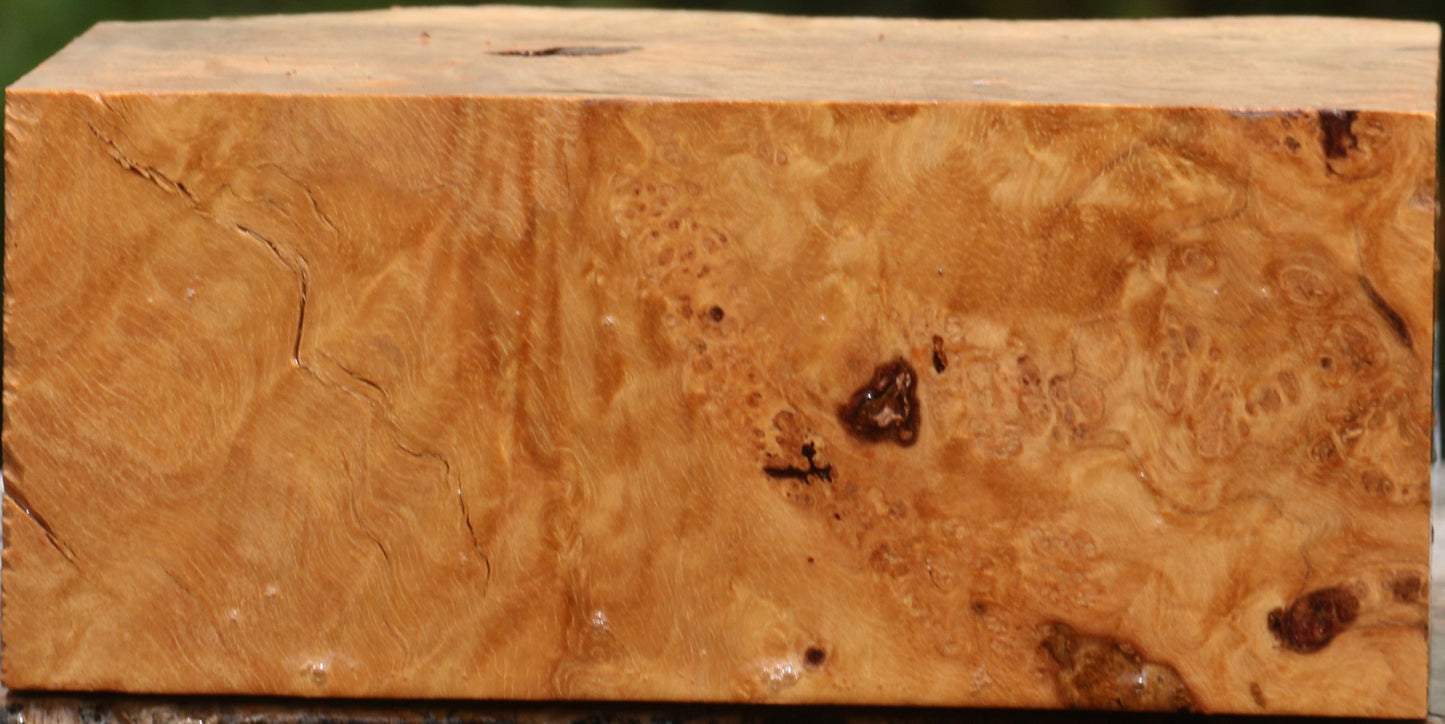 Kanista Burl Live Edge Turning Blank
