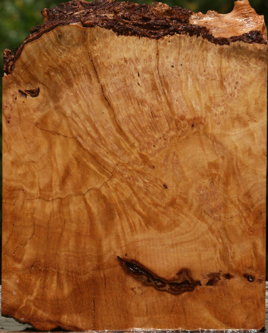 Kanista Burl Live Edge Lumber