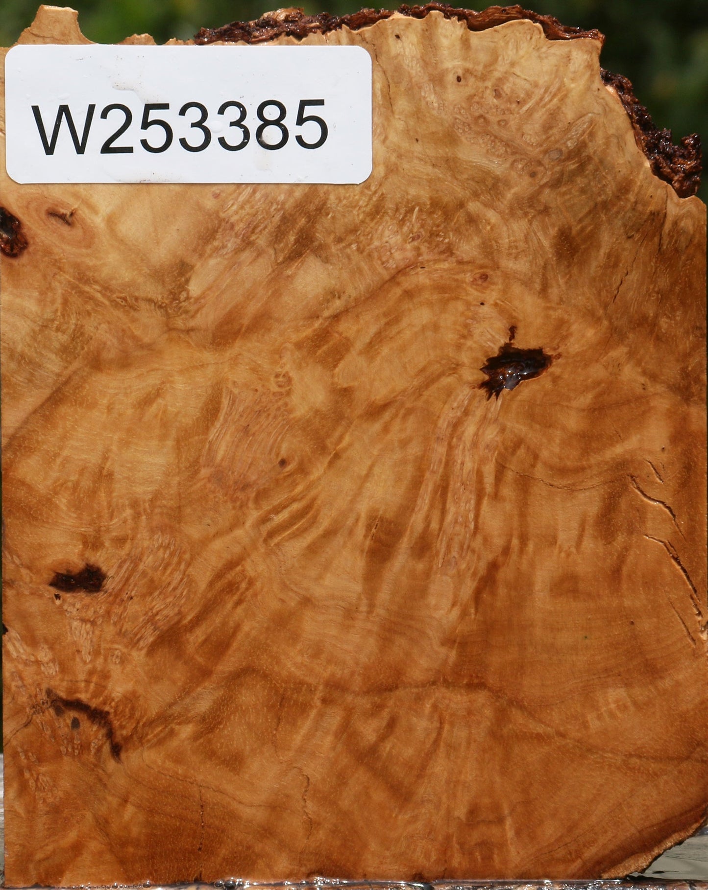 Kanista Burl Live Edge Lumber