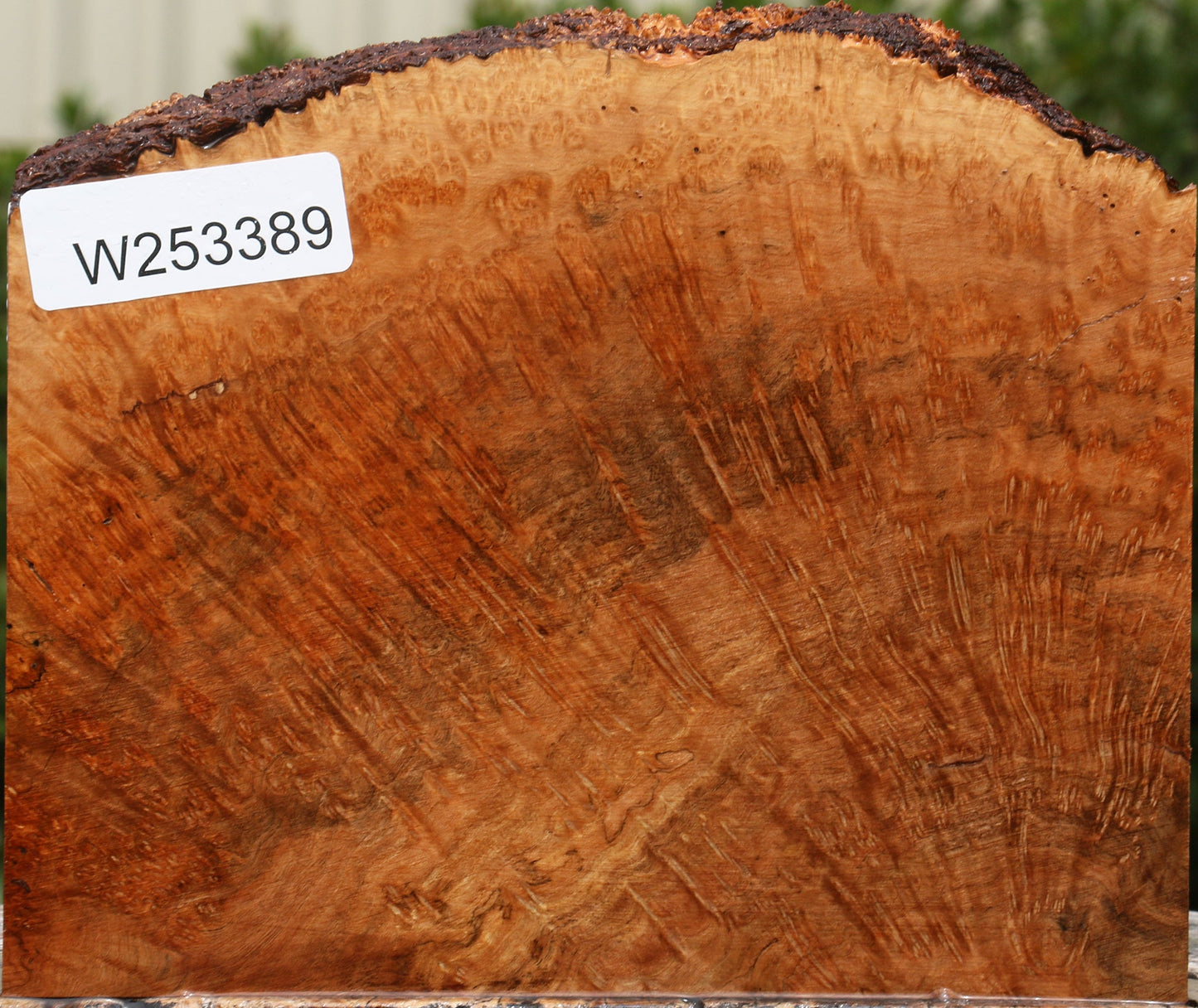 Kanista Burl Live Edge Lumber