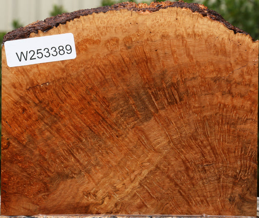 Kanista Burl Live Edge Lumber