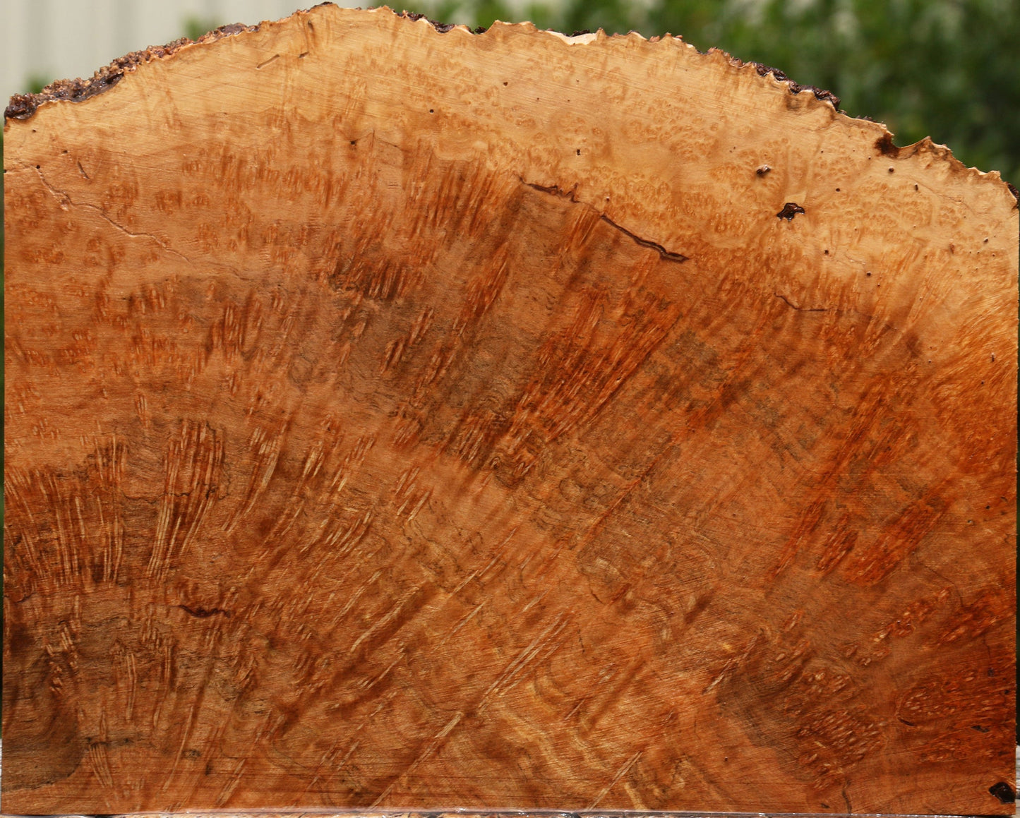 Kanista Burl Live Edge Lumber