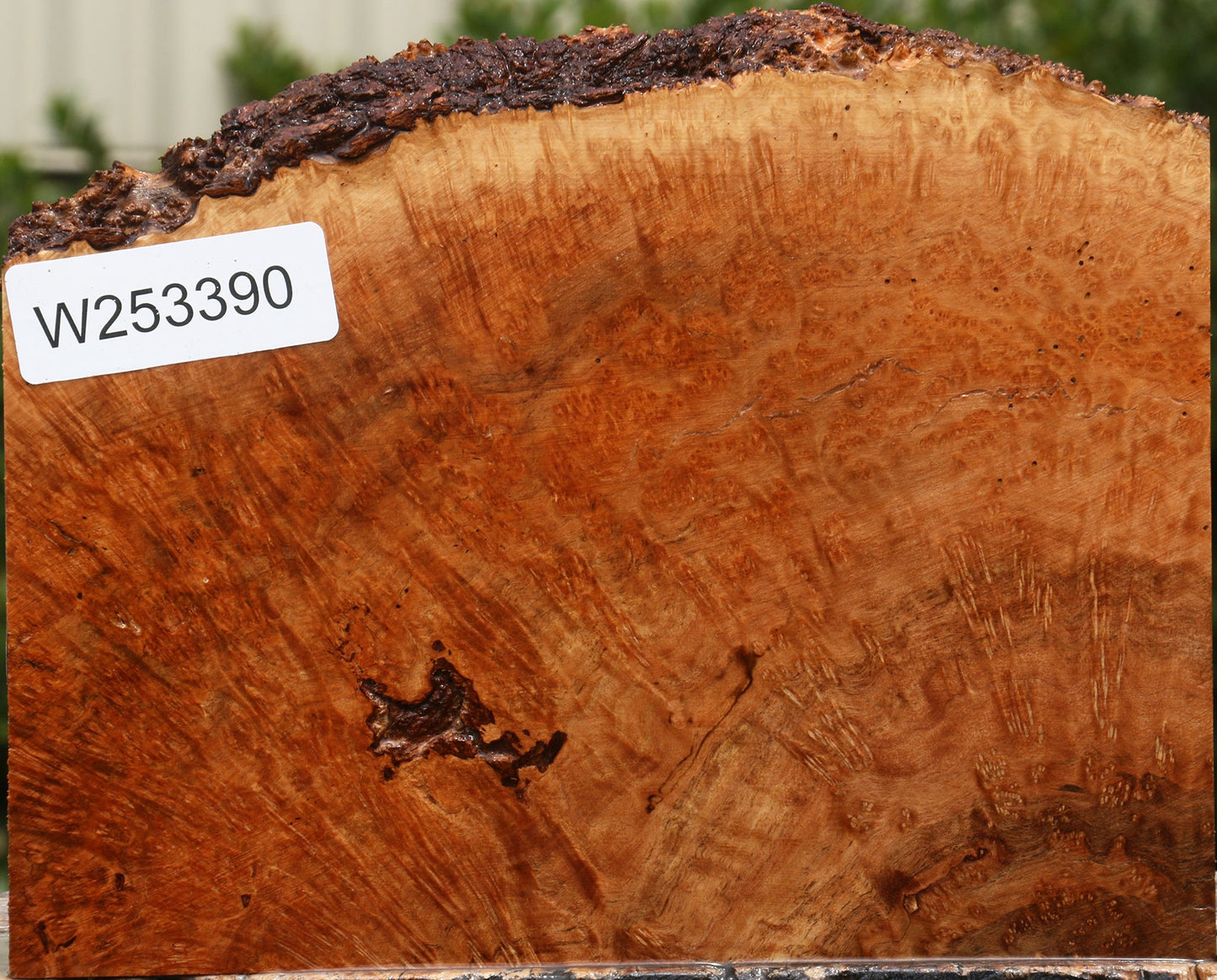 Kanista Burl Live Edge Lumber