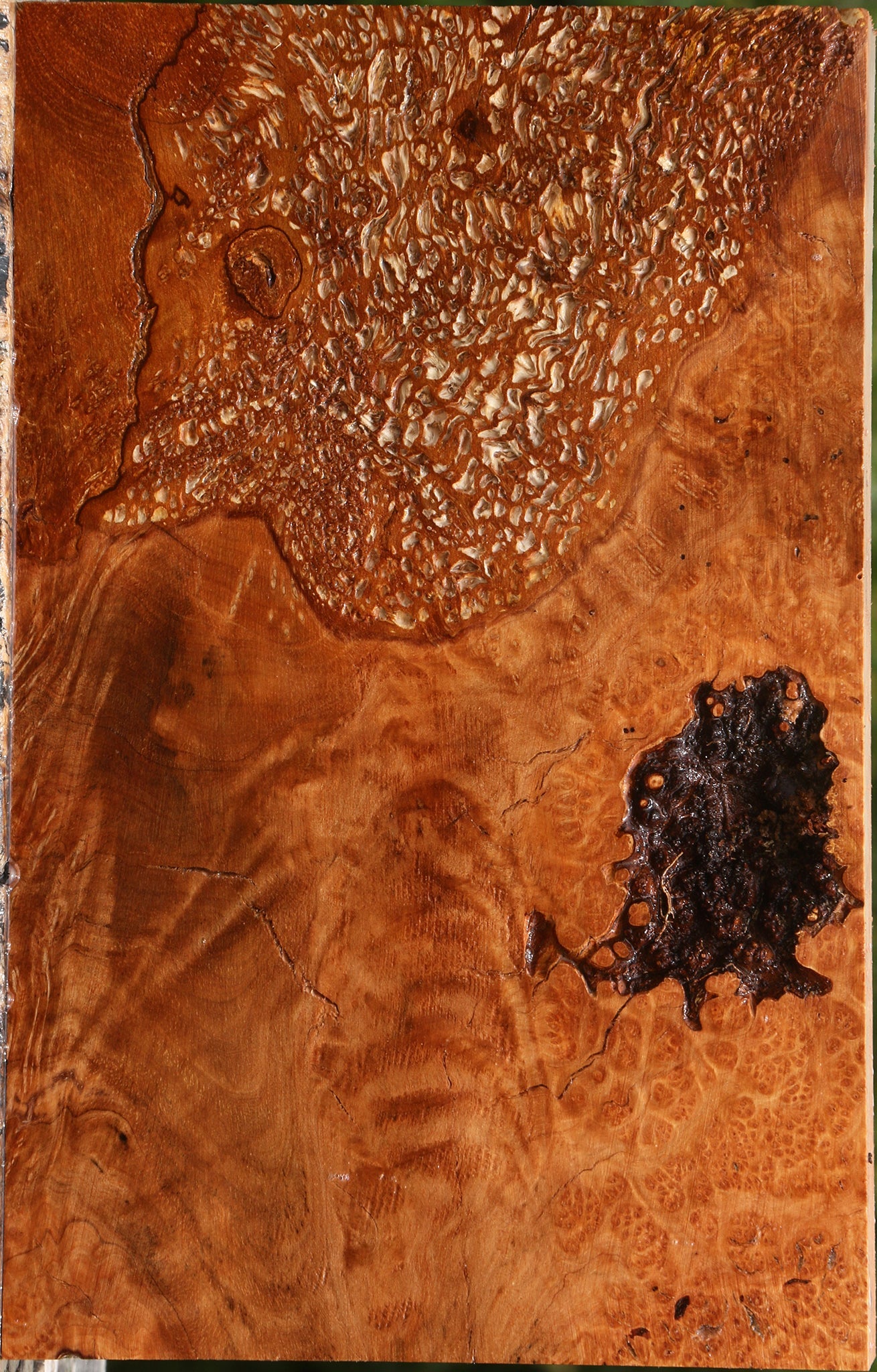 Rustic Kanista Burl Lumber