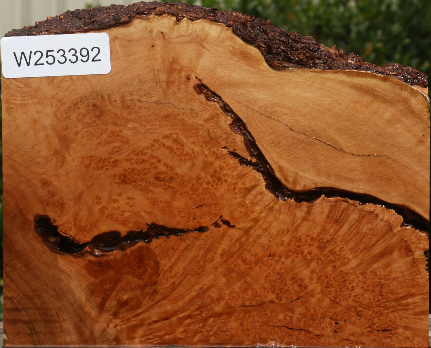 Kanista Burl Live Edge Lumber