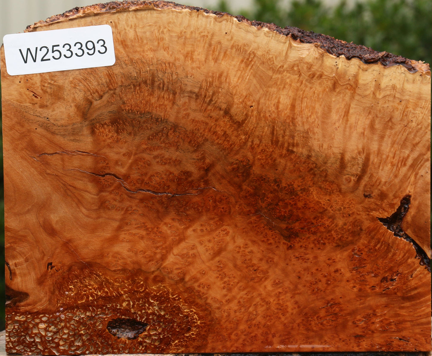 Kanista Burl Live Edge Turning Blank