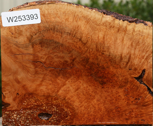Kanista Burl Live Edge Turning Blank