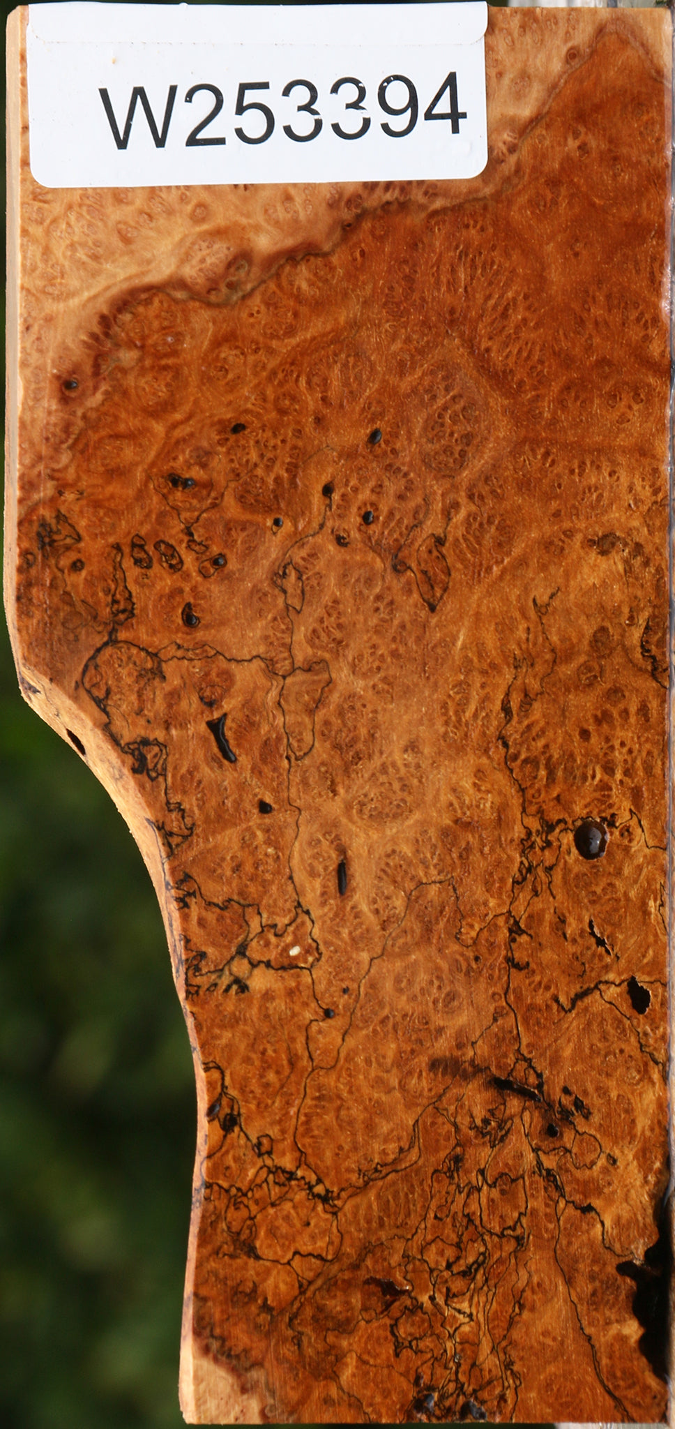 Kanista Burl Lumber