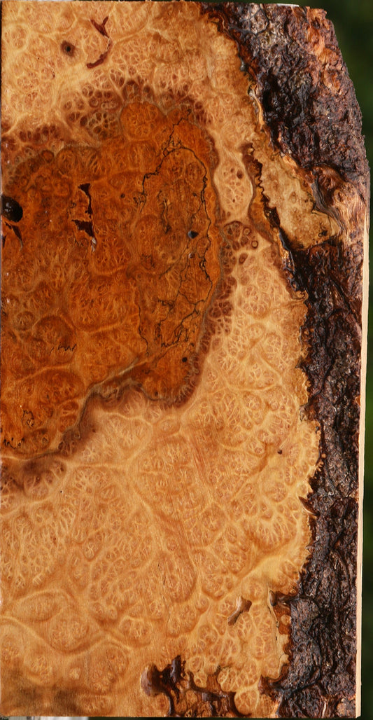 Kanista Burl Lumber