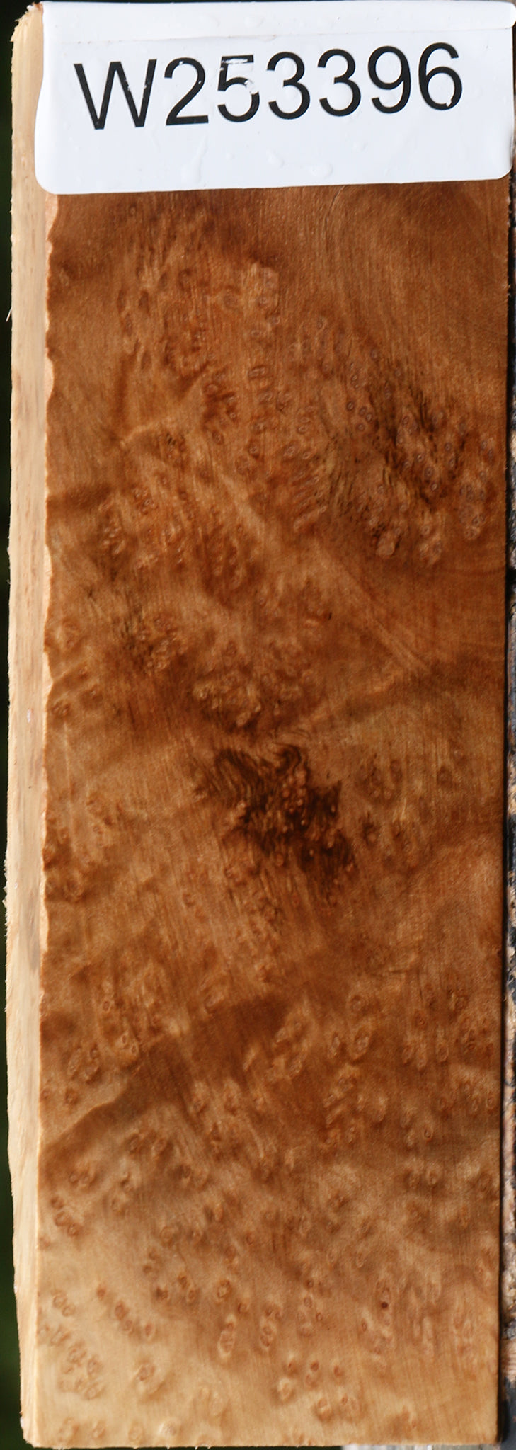 Kanista Burl Turning Blank