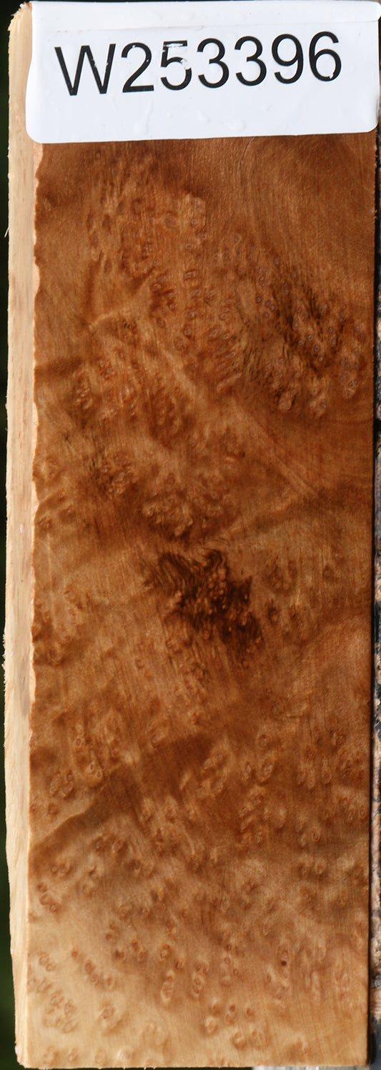 Kanista Burl Turning Blank