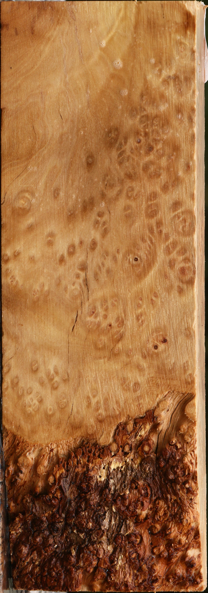 Kanista Burl Turning Blank