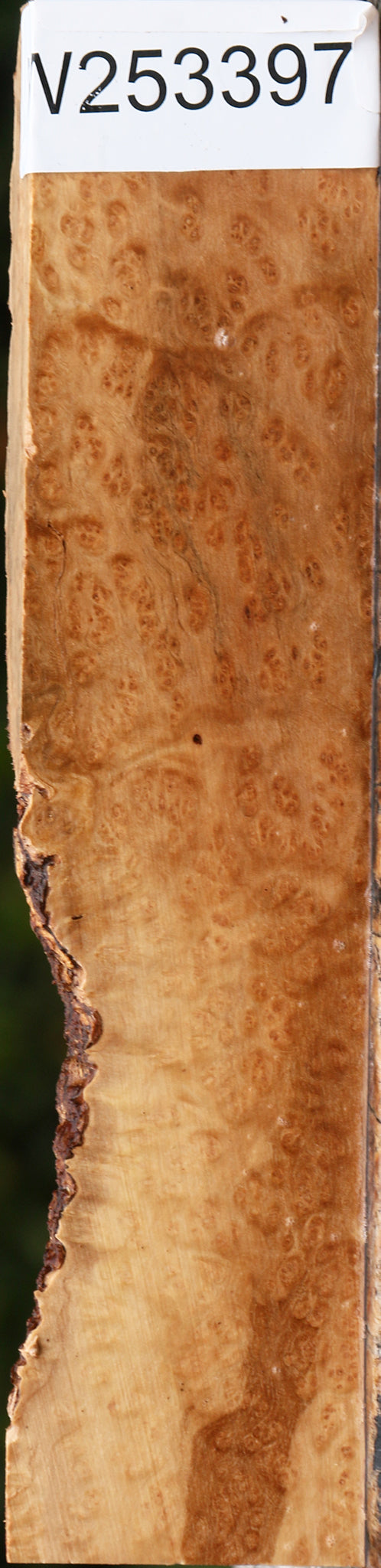 Kanista Burl Live Edge Lumber