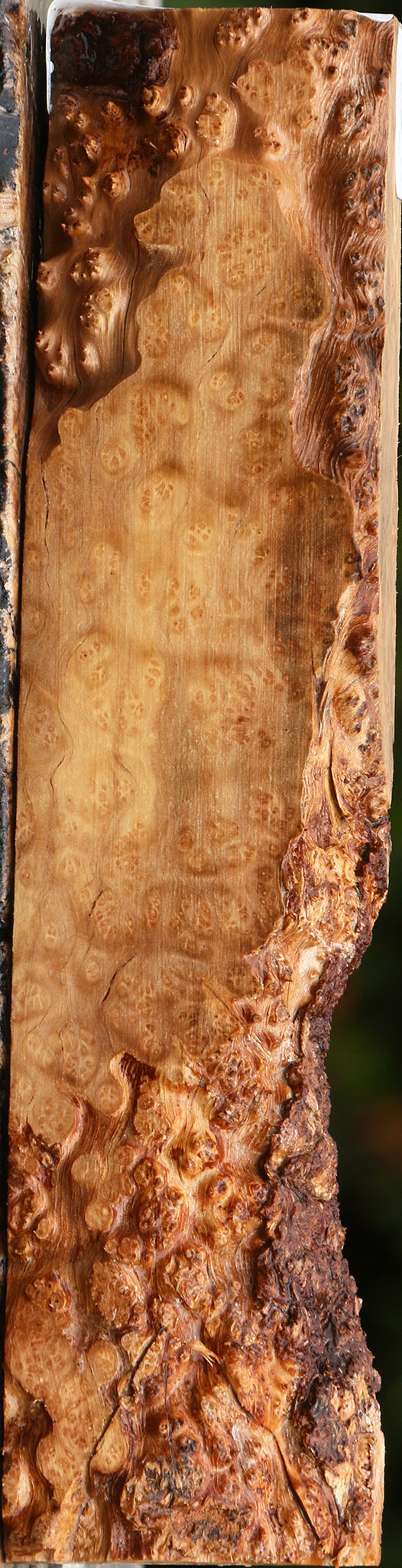 Kanista Burl Live Edge Lumber