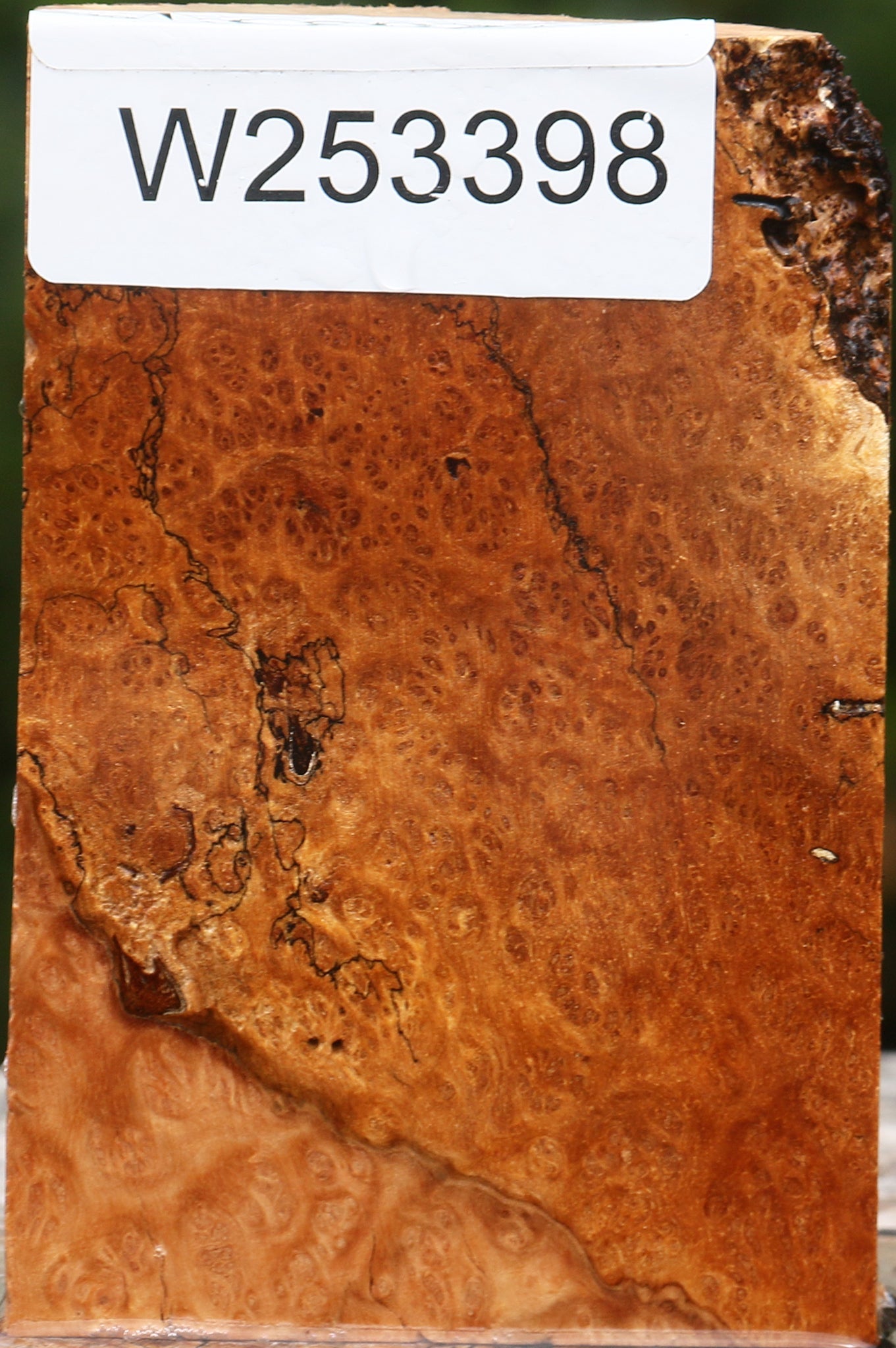 Kanista Burl Lumber
