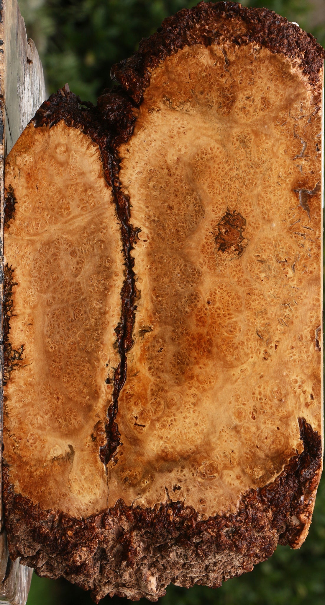 Kanista Burl Live Edge Lumber