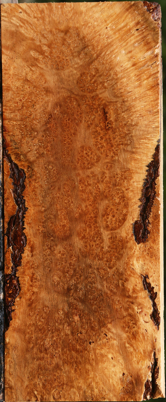 Kanista Burl Lumber