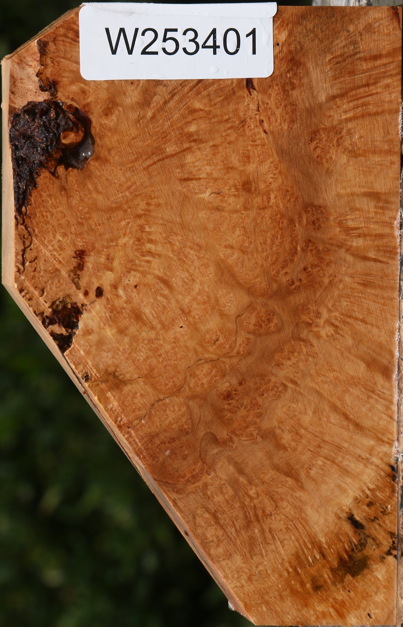 Kanista Burl Turning Blank