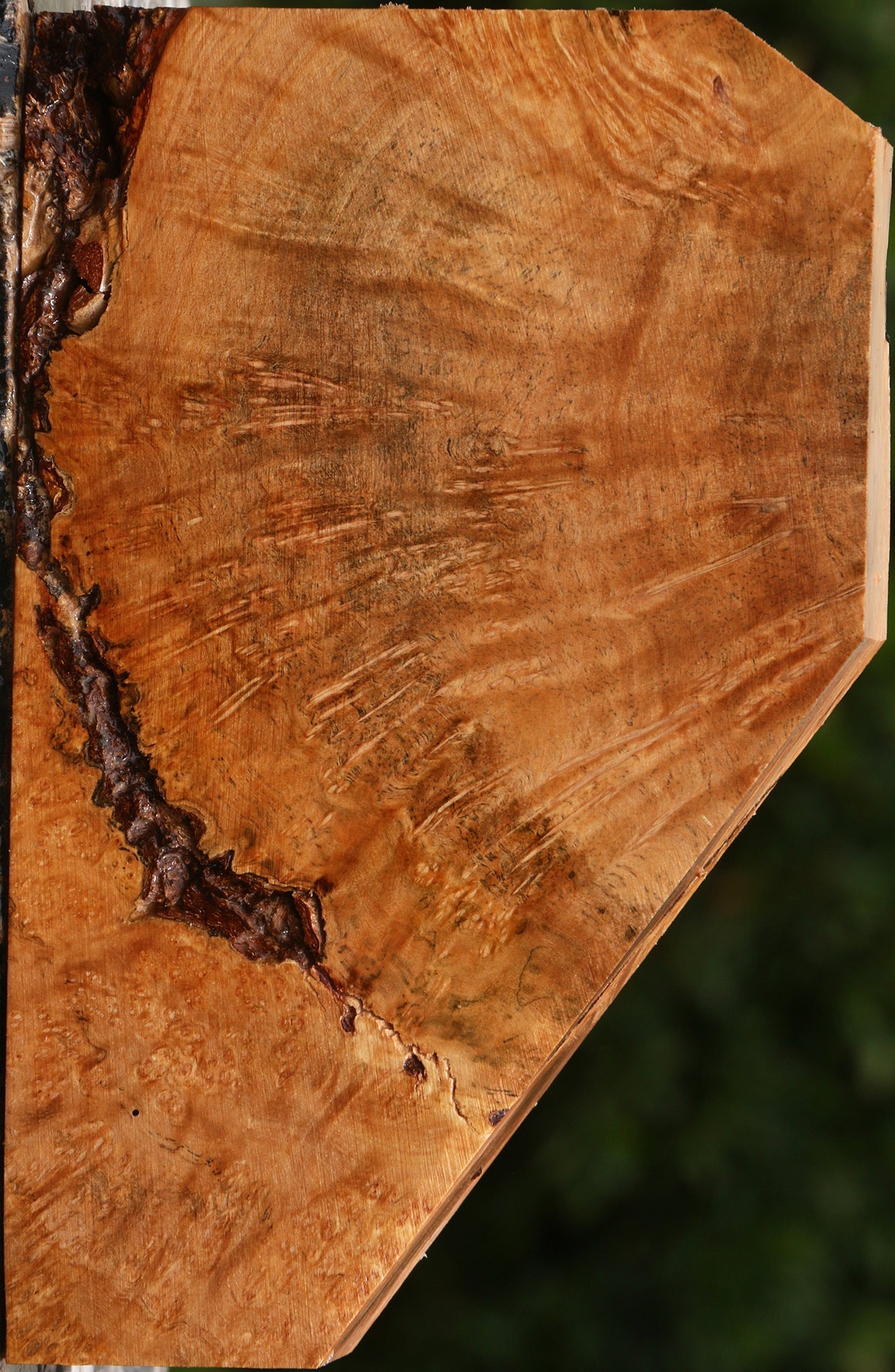 Kanista Burl Turning Blank