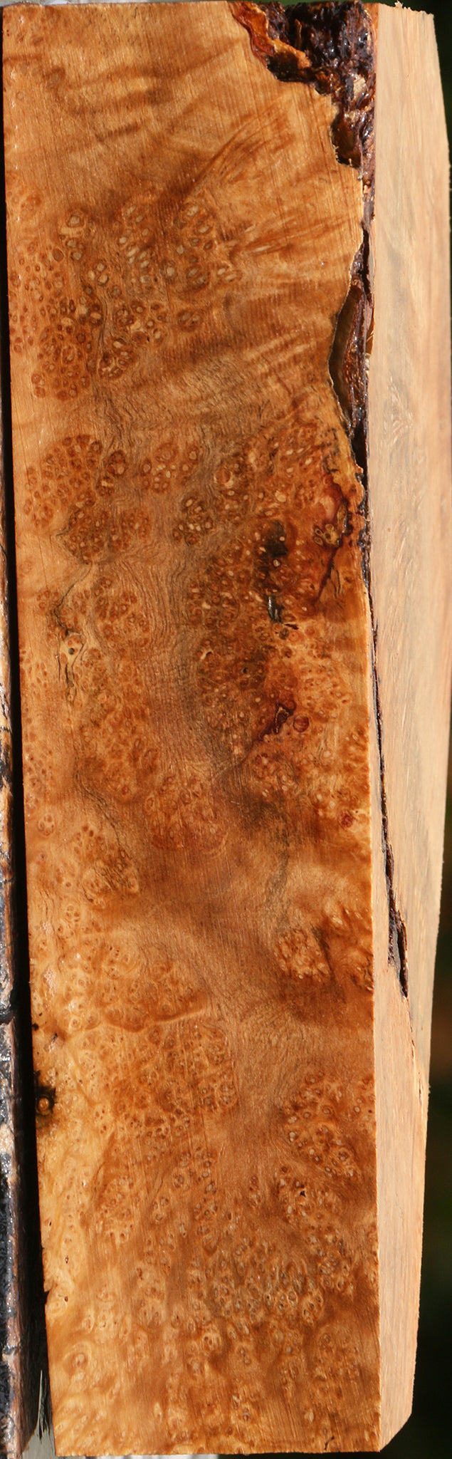 Kanista Burl Turning Blank