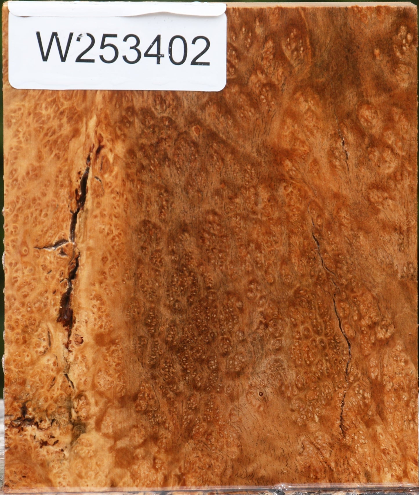 Kanista Burl Lumber