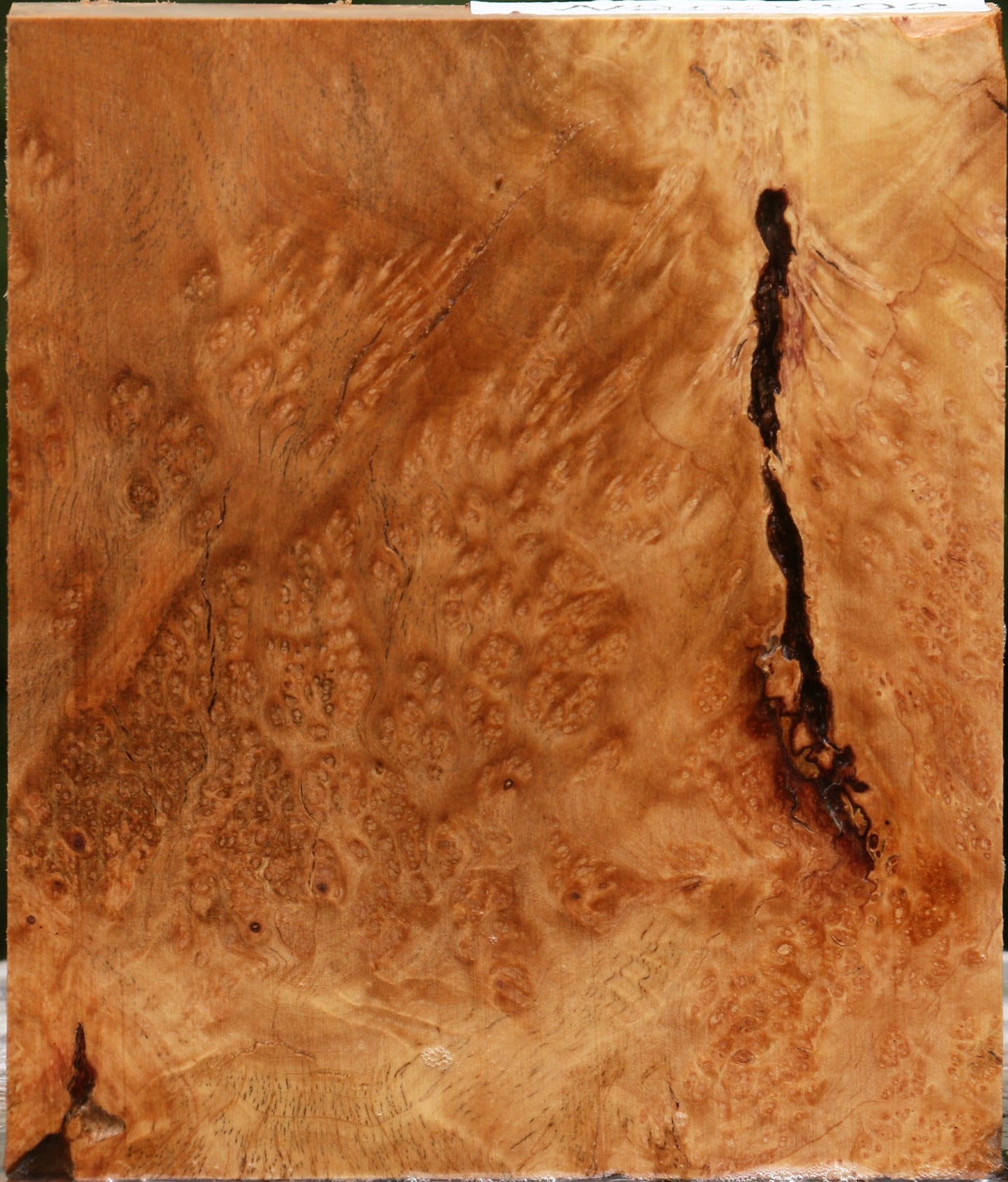 Kanista Burl Lumber