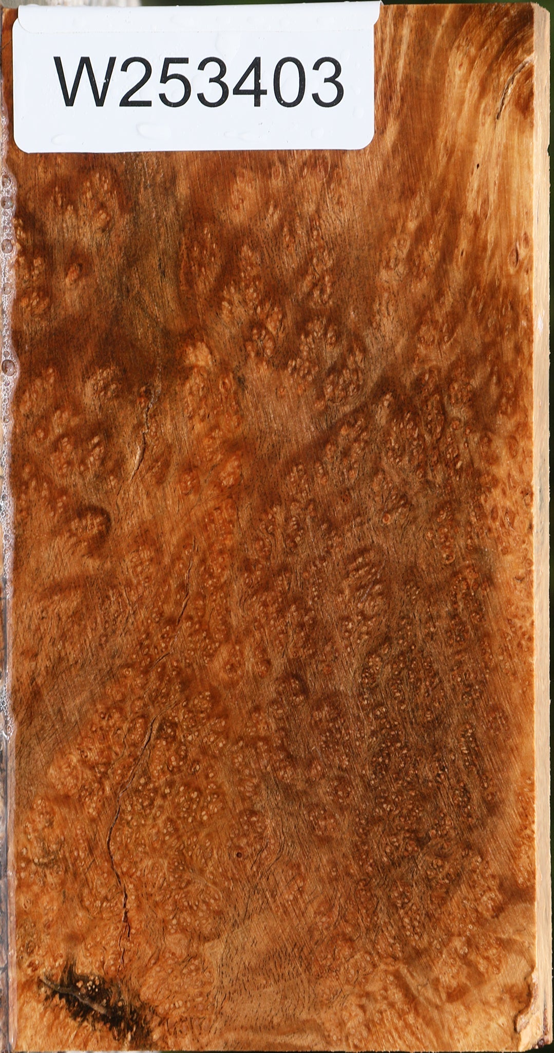 Kanista Burl Lumber