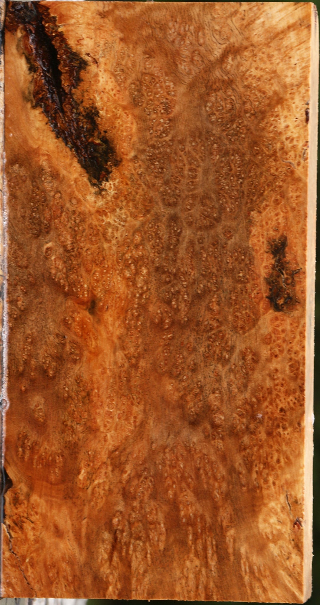 Kanista Burl Lumber