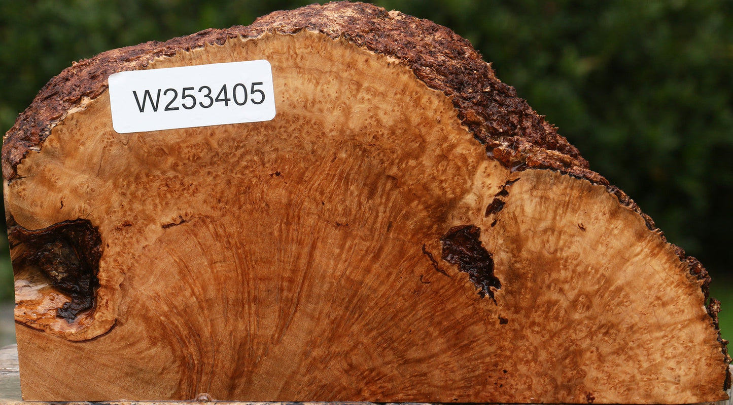Kanista Burl Live Edge Slice