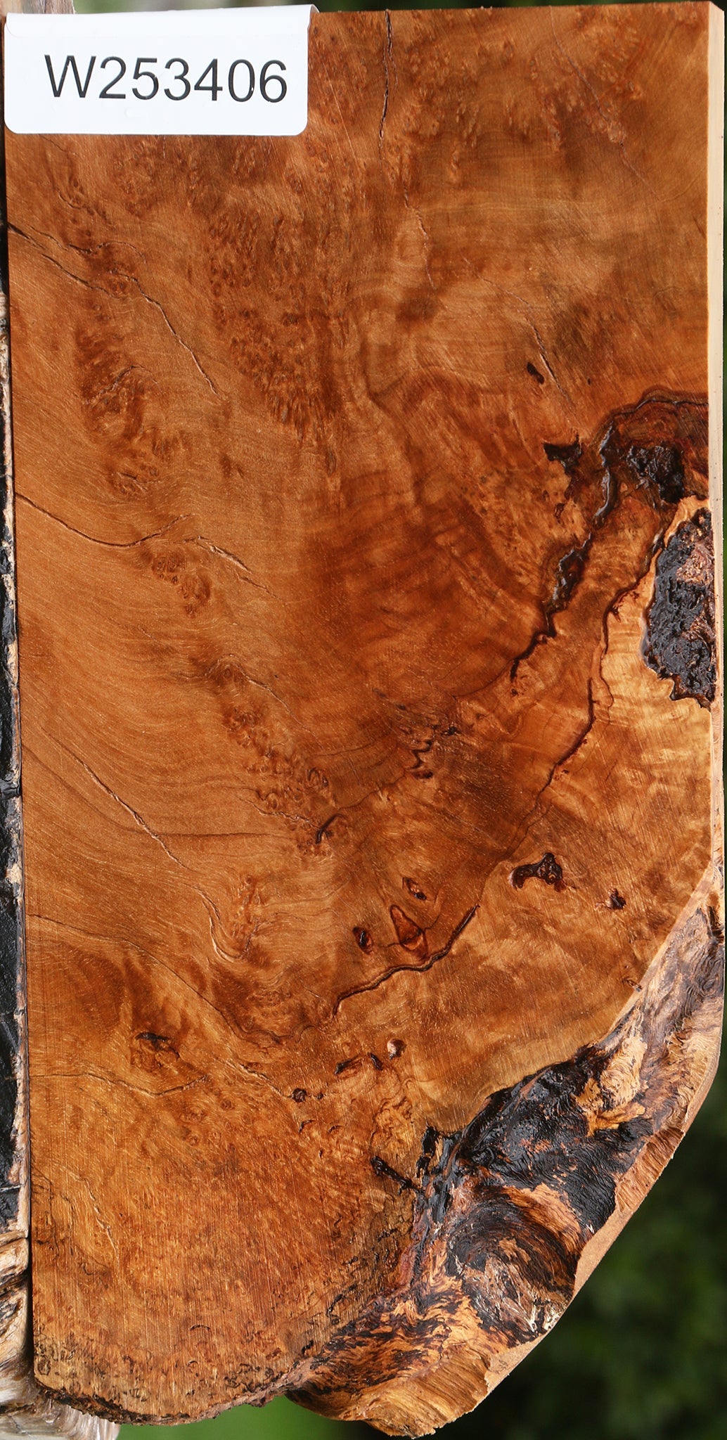 Kanista Burl Live Edge Lumber