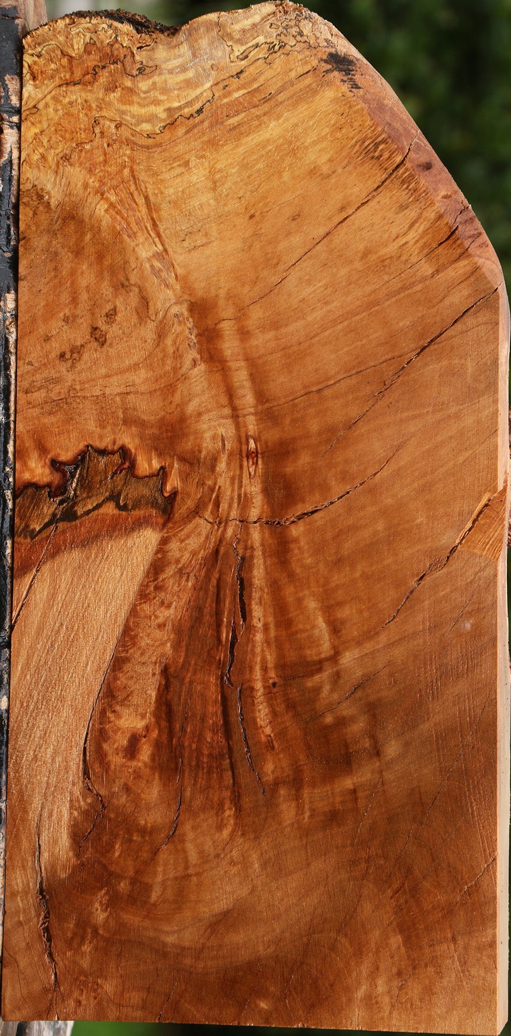 Kanista Burl Live Edge Lumber