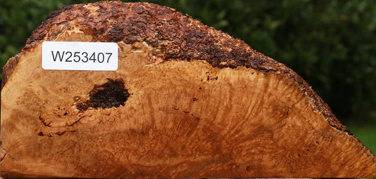 Kanista Burl Live Edge Slice