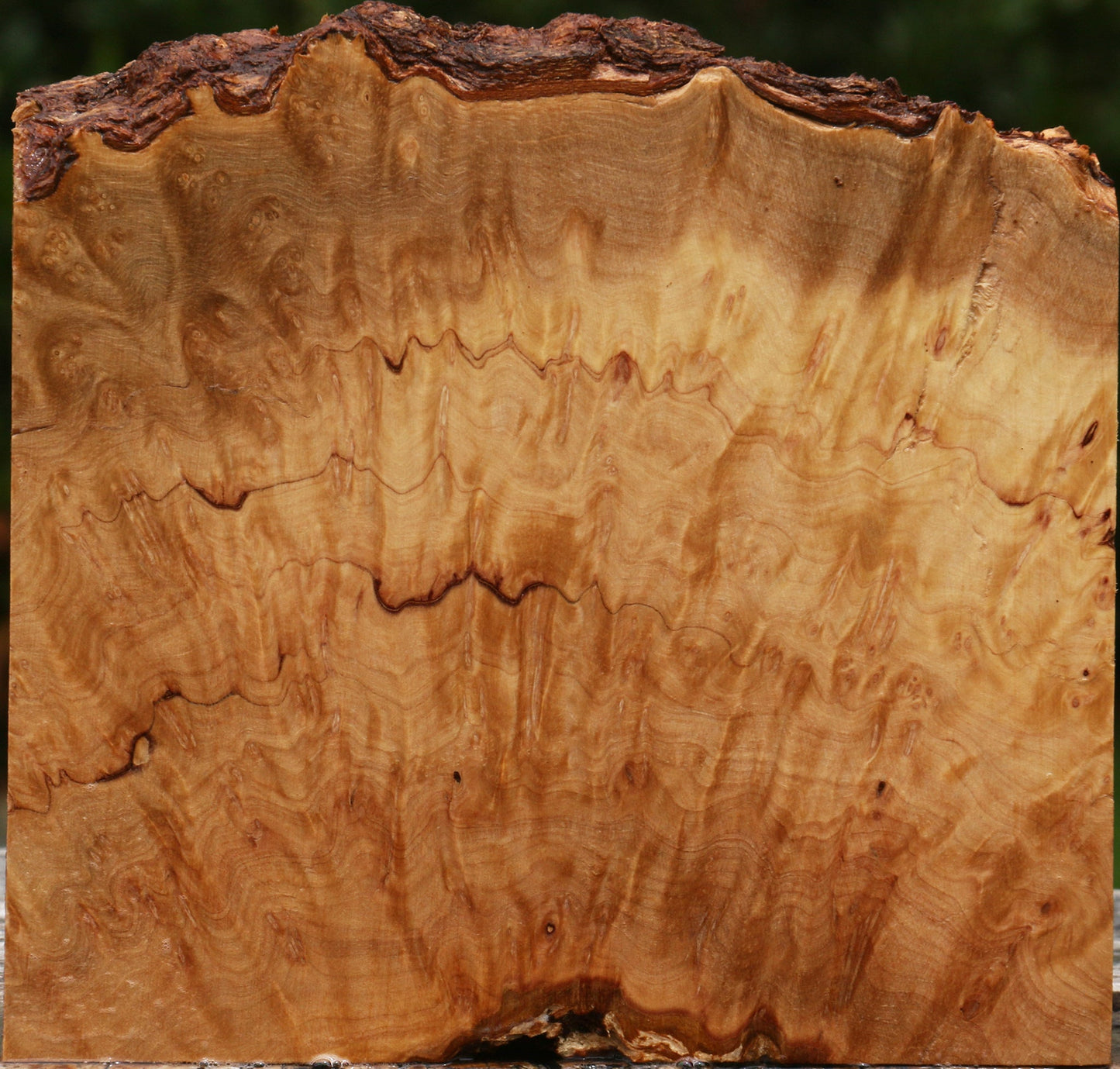 Kanista Burl Live Edge Lumber
