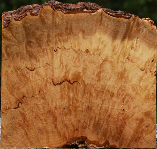 Kanista Burl Live Edge Lumber