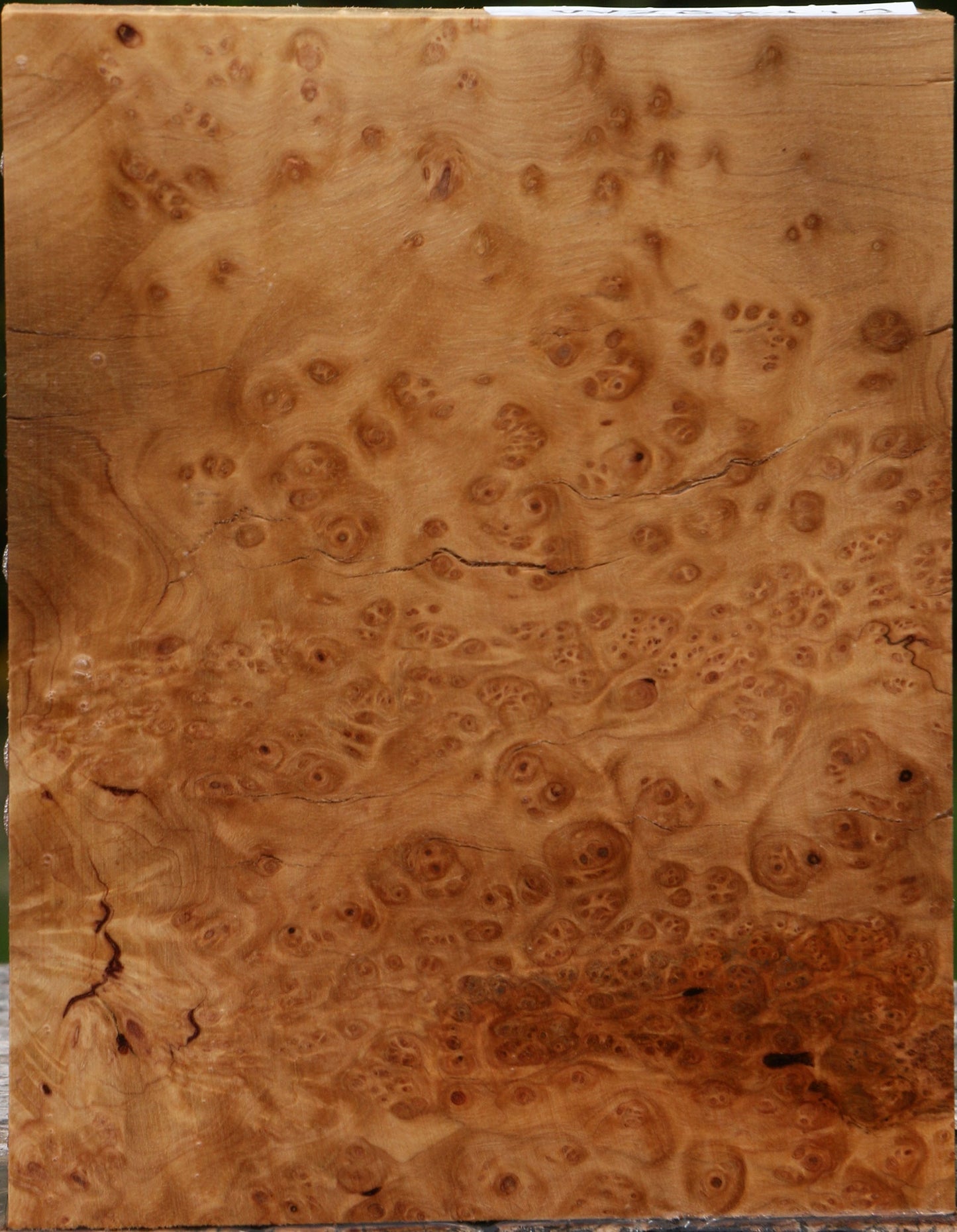 Kanista Burl Lumber