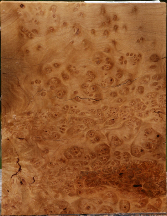 Kanista Burl Lumber