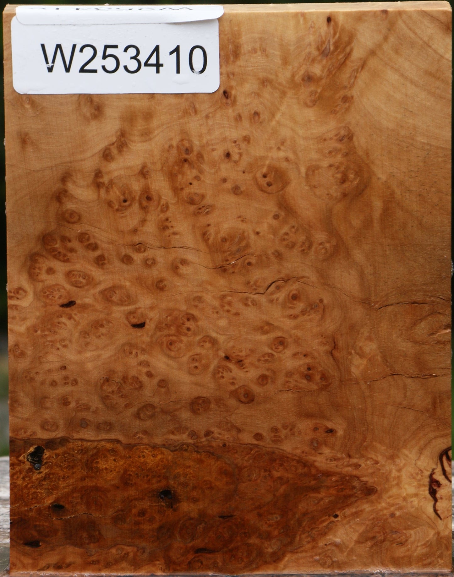 Kanista Burl Lumber
