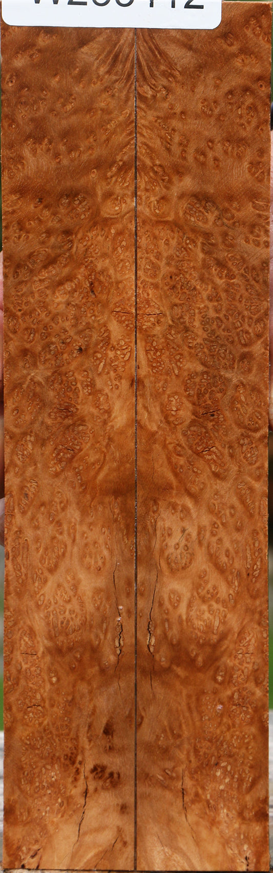 Kanista Burl Knife Scales