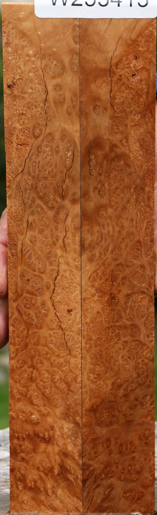 Kanista Burl Knife Scales