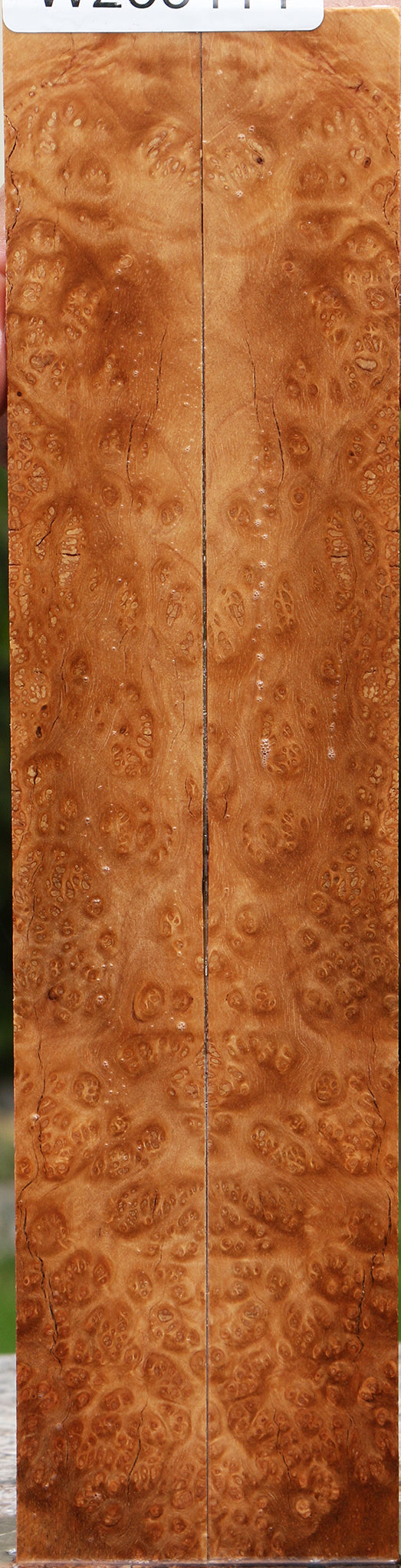 Kanista Burl Knife Scales