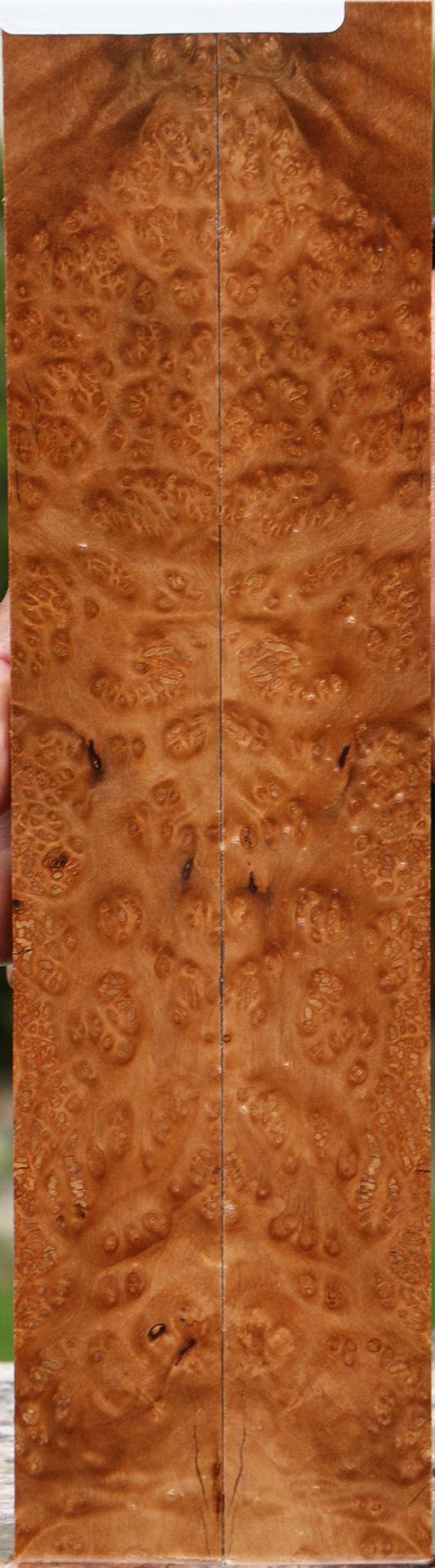 Kanista Burl Knife Scales