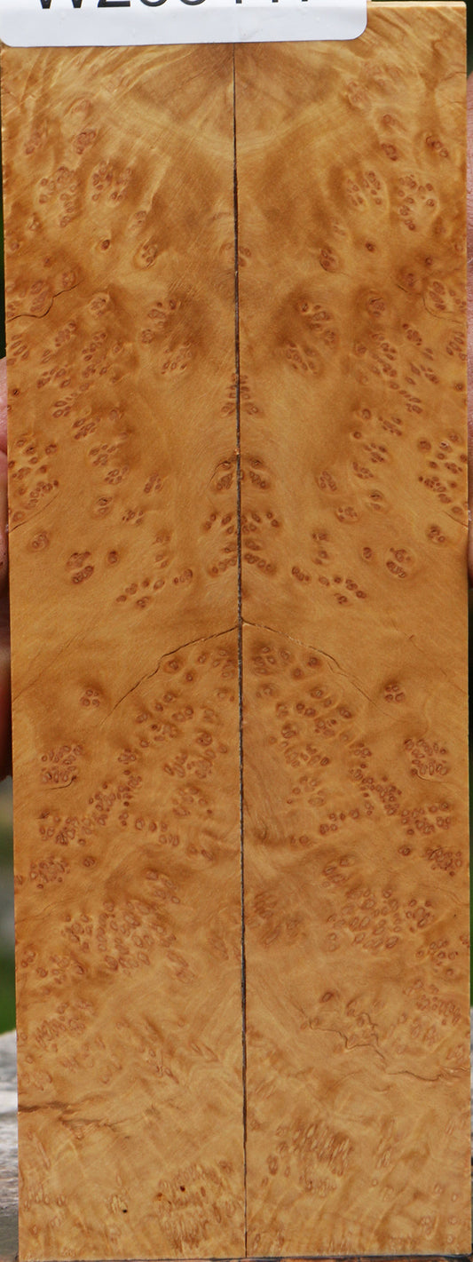 Kanista Burl Knife Scales