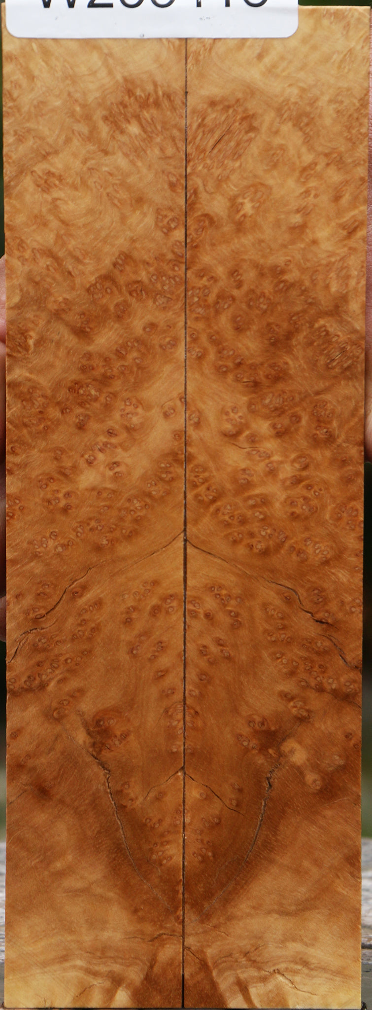 Kanista Burl Knife Scales