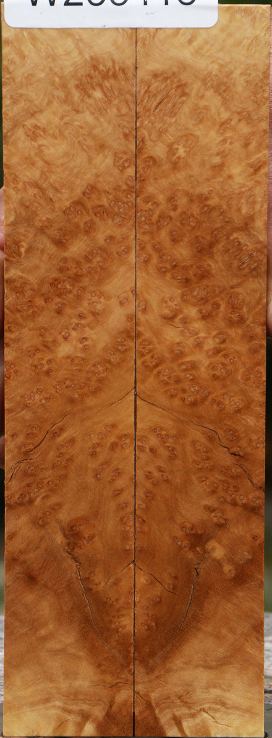 Kanista Burl Knife Scales
