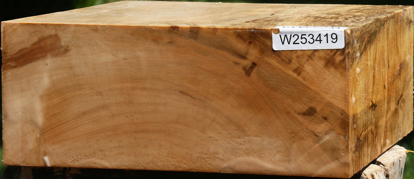 Extra Fancy Silver Maple Bowl Blank