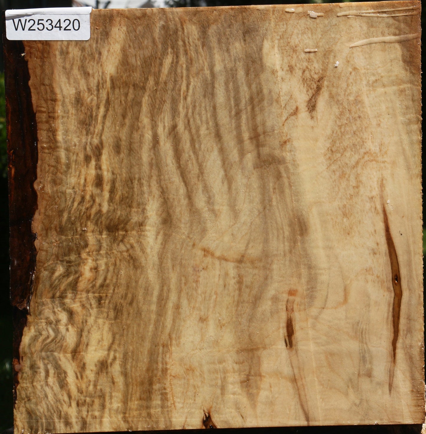 Figured Silver Maple Bowl Blank
