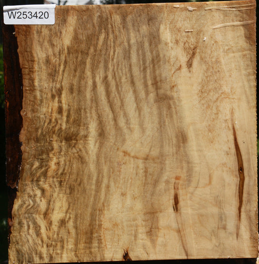 Figured Silver Maple Bowl Blank