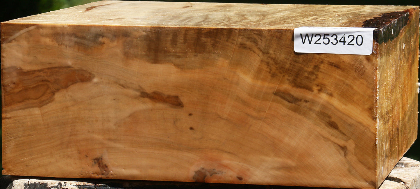Figured Silver Maple Bowl Blank