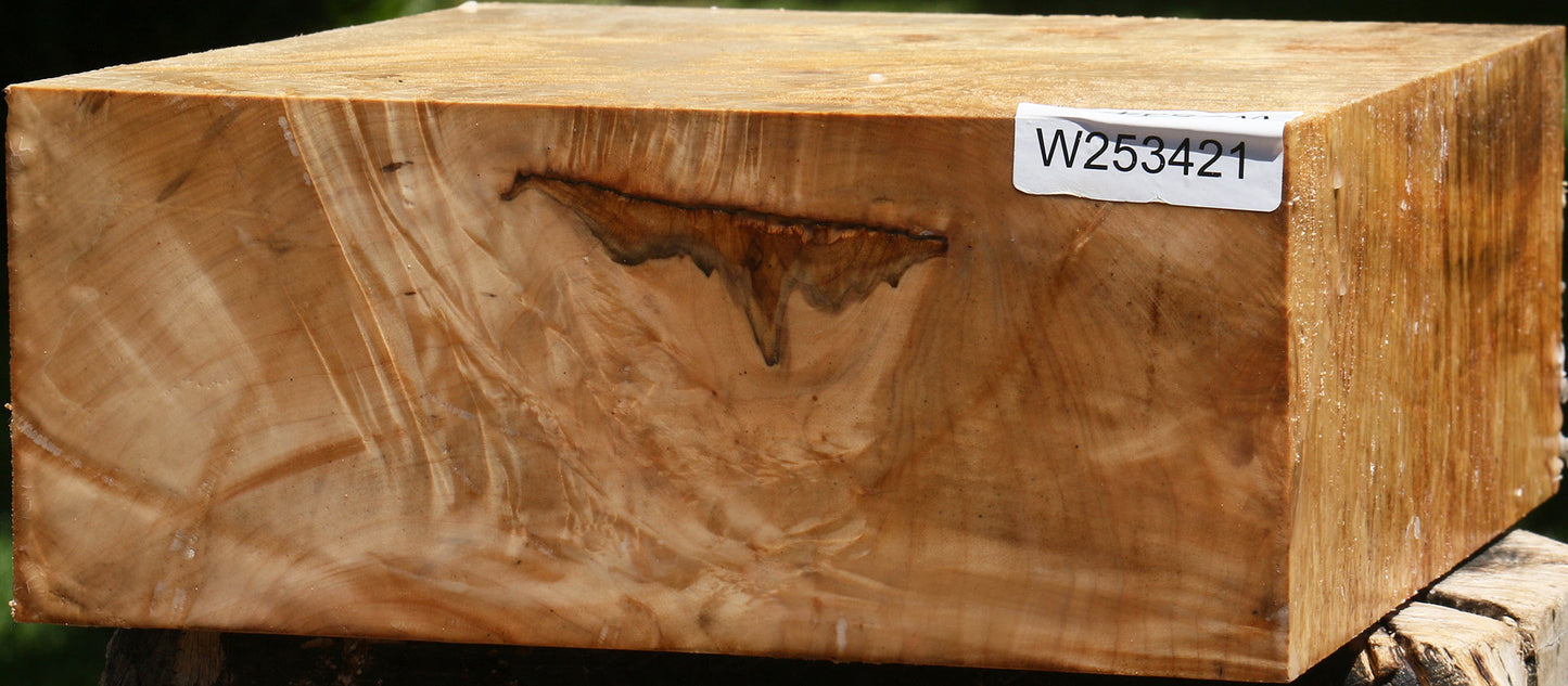 Extra Fancy Silver Maple Bowl Blank